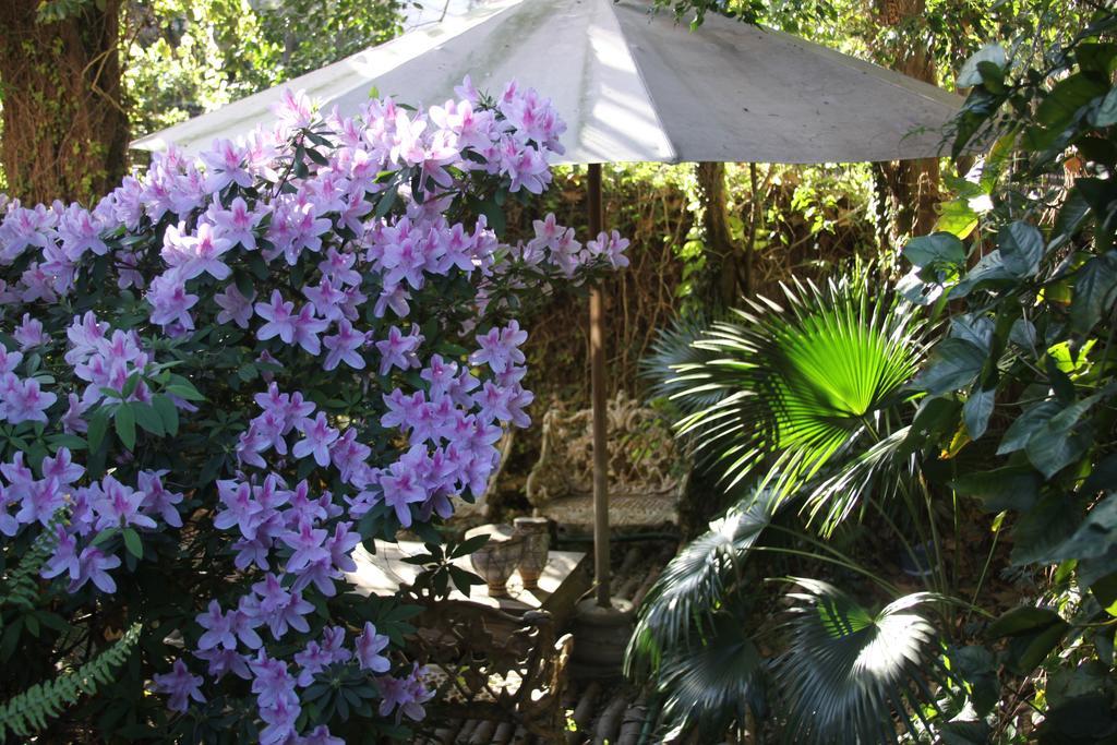 La Casona De Grace Bed & Breakfast Olivos Eksteriør bilde