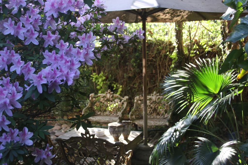 La Casona De Grace Bed & Breakfast Olivos Eksteriør bilde