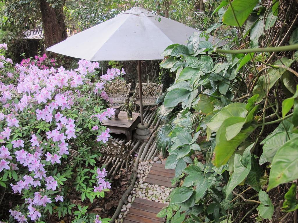 La Casona De Grace Bed & Breakfast Olivos Eksteriør bilde