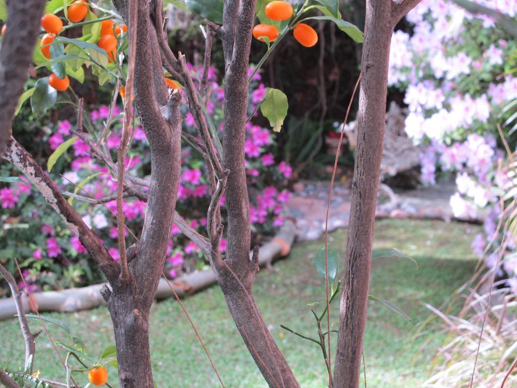 La Casona De Grace Bed & Breakfast Olivos Eksteriør bilde